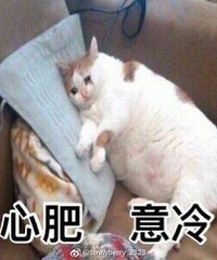 �ʣ����������Ҹ���ô����Ů�����أ�����