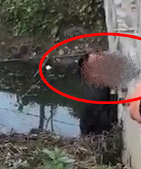 ���£�����һ���ӱ����ֵ�����������