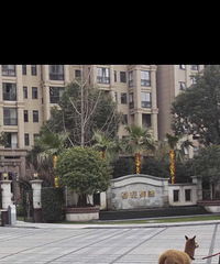 �����޹���è  ����ĳС�����˾�Ȼ�������գ�