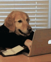 ���˵���Ů��ŭ����������800���ף�