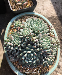 �Լ�������