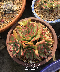 �Լ�������