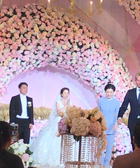 ���Ż���  ����������