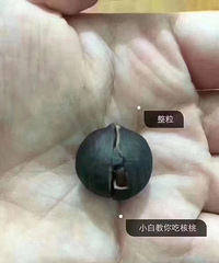 ������γԵ��������ɽ���ң��ں�ͼƬ+���֣�