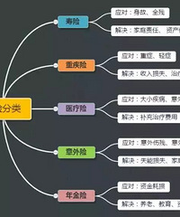 保险作用