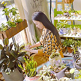 ���̨С��԰