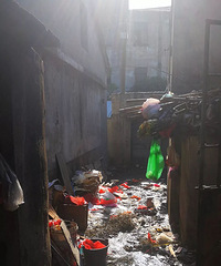 ���Ϸ������ѡ������Ϸ�ʧ�� ��̫��ǰ�ռ�������Ʒ