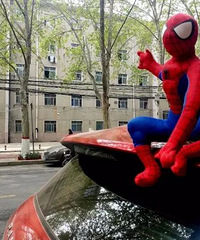 ����������֩������ ��һ�������ҵ��Գ� ���һ�Ҳ�Ż���