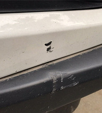 Ϊ�˽ӹ��۰ѳ�ײ�� ���ľܾ�