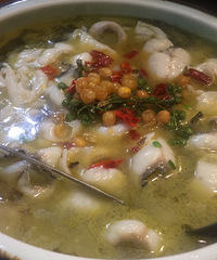 �Ƽ�����ѧԺ�������㣡�˾���ʮ�� �ؼ����ر�óԣ�