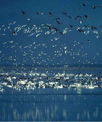 ���Լ�ֱ����;�ּ��˳�����һ��ˮ��۶���� �߽��׺�������ɳ