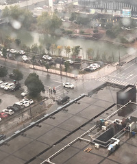 ����˾��ע�� ���·��ÿ������2�𳵻� ��