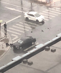 ����˾��ע�� ���·��ÿ������2�𳵻� ��