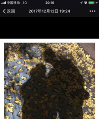 ���������� ý�˾�Ȼ���������������ҵ�Ե�������أ�