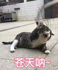 ���ʣ�����ֽ���ǲ��Ƕ�ϲ�����ݺ��ݵ�����ֽ��