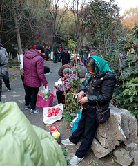 ����ĳ��԰����ү���衰ռ�족 �����һ����ʱ�˳�