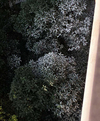 ����ĳС��ҵ��Ұ��װ�� ǽ�ϲ����ķ�ֱ����¥���̻��ﵹ