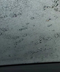 ������һ��������������ס��