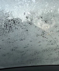 ����һ����������������ˣ�Ϊ�˹α����׵ĳٵ��ˣ�