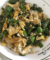 ���е����� û�������ڹ��Ŀɺ����أ�