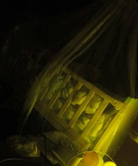 �������������Լ�˯Ӥ���� �������Ķ����ԣ�