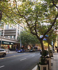 [��ʳ] ħ����ʳ֮�ã�wanghong��ʳ�����Ҿ�����