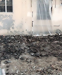 С�������������»���һ����Ϳ �����Ҷ��ز�����