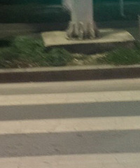 �����е��ߵ�ͷ ���±���