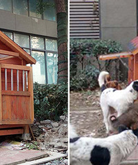 ����ĳС�����ֹ����� ���ѣ���Ļ����繷