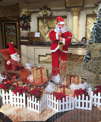 ֻ��Ϊ�Ϲ������е����� ĳ�̳�������Ա�����ǰ����