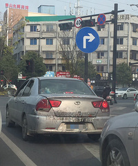 �⳵������ʲô���������������