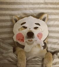 ��� �Ժ� �Ⱥ� �������ǿ���ҹ