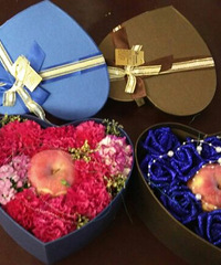 ʥ���ڵ�һ������ ��֪��Ϊʲô ����������