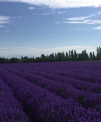 ��һ�����еĹ����𣿰���Ӱ ������