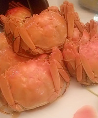 ����һ�١������ˡ�  Ŵ��Ҭ���������óԣ�