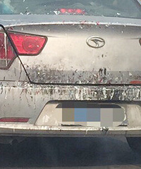 �⳵������ʲô���������������