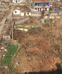 �������ļ������������� ��������������ĵط��ǻķϵ�