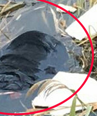 ͻ����һ�������Ӵ����·��ָ�ʬ