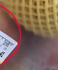 ʥ�����ڳ������˼���ƻ�� 104�飡