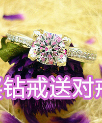 �ÿ����鱦�Ź�