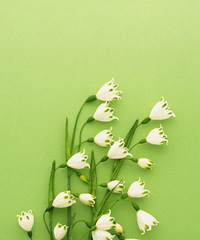 76���������Ů δ�� ���ǵ����춹���ĵ���