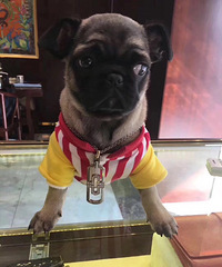 ������ף�������