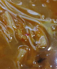 ������Գ�һֻ��Ӭ �ϰ岻����Ǯ��