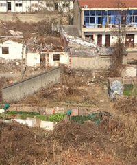 ��ؿ�ķϵ��е�������