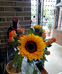 18���������� �ҷ�����ѧ 19���ʱ�������ҵ�Ů��