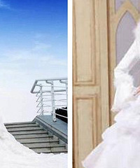 ���������ѡ�Ļ�ɴ�պͻ�ɴ=��=