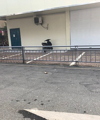 �ּ�����ͣ��λ��������ڴ��εö���...