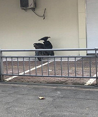 �ּ�����ͣ��λ...