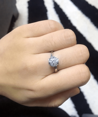 71����������� ������ָ���Դ�