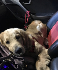 �þ�ûɹ��Ů�ˣ���������